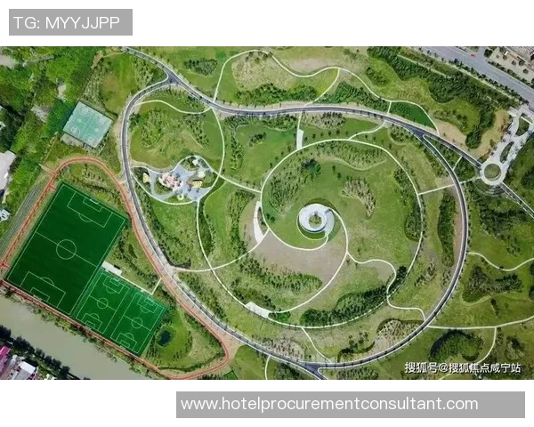 成都乒乓球队转型之路深度解析与未来发展展望