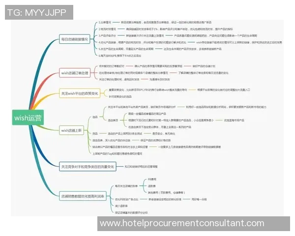 深入分析BLG的运营策略与战术布局探讨