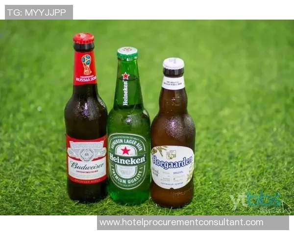 营口足球场地全景探秘及周边设施介绍让你畅享足球盛宴