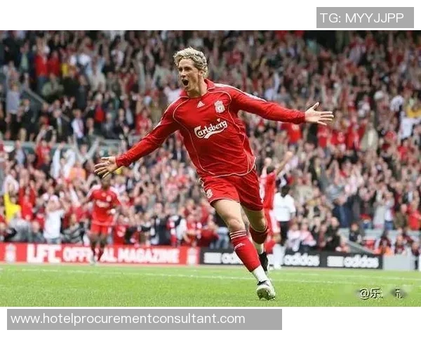 豪门足球风云中的传奇之路托雷斯的辉煌与挑战