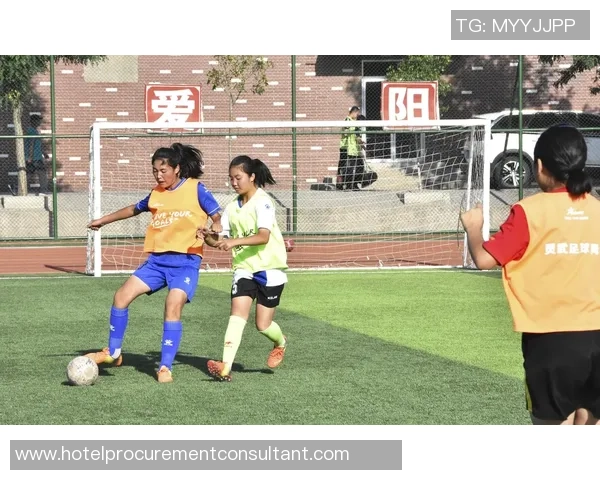 热爱足球的你不可错过的精彩踢足球节目全方位解析与精彩瞬间回顾