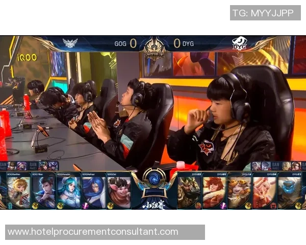 王者荣耀战队LNG的团队配合与战术分析探讨