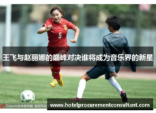王飞与赵丽娜的巅峰对决谁将成为音乐界的新星