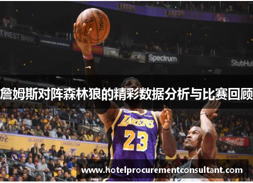 詹姆斯对阵森林狼的精彩数据分析与比赛回顾