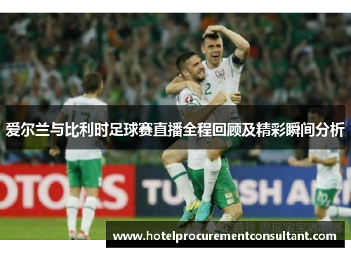 爱尔兰与比利时足球赛直播全程回顾及精彩瞬间分析